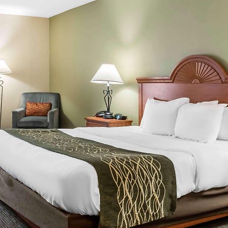 Comfort Inn Pine Grove I-81 Hershey Area Buitenkant foto