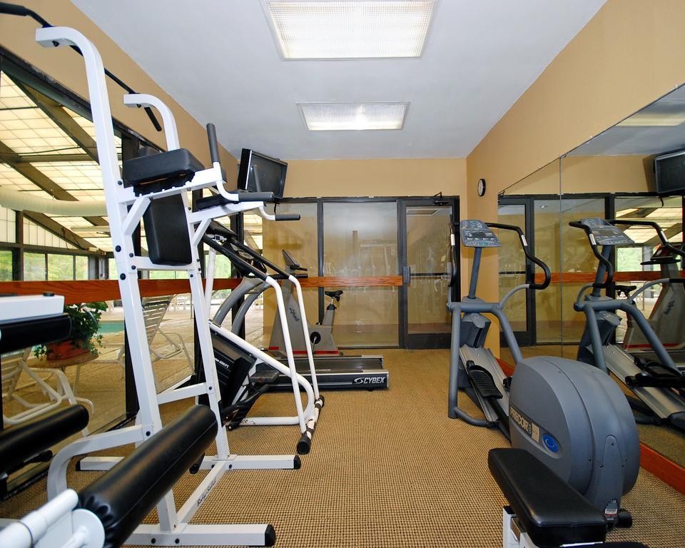 Comfort Inn Pine Grove I-81 Hershey Area Buitenkant foto