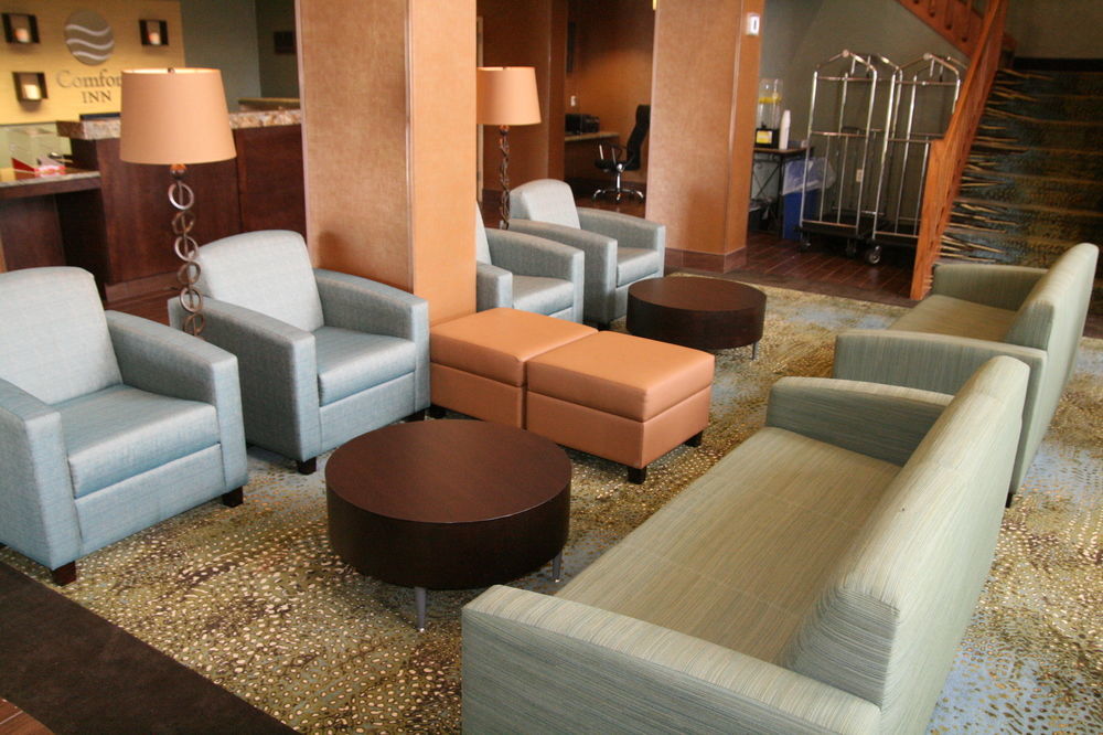 Comfort Inn Pine Grove I-81 Hershey Area Buitenkant foto